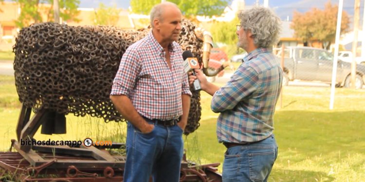 Por décadas, Pablo Borrelli recomendó reducir la carga de ovinos para frenar la desertificación en la Patagonia: Ahora acepta ese error y promueve una ganadería regenerativa
