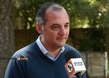 El caso “Tomorrow Foods”: Buscan reemplazar la carne y hasta la leche con aislados proteicos a partir de la arveja