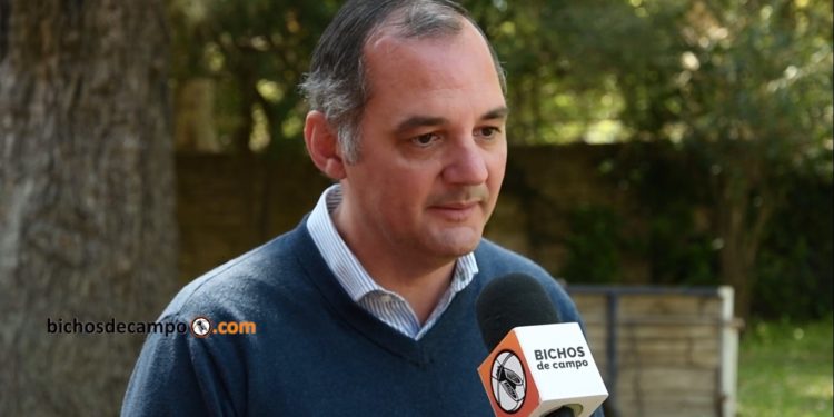 El caso “Tomorrow Foods”: Buscan reemplazar la carne y hasta la leche con aislados proteicos a partir de la arveja