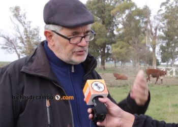 Roberto Cittadini, un veterano del INTA que promueve la agroecología. “En una agricultura convulsionada, hay conciencia de que debe reformularse el modelo”