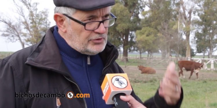 Roberto Cittadini, un veterano del INTA que promueve la agroecología. “En una agricultura convulsionada, hay conciencia de que debe reformularse el modelo”