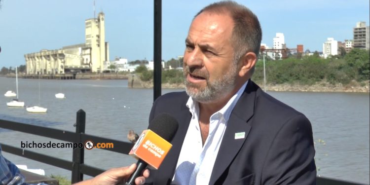 Walter Albrecht se la jugó entero y transformó su planta de producción de expeller de soja… hacia el girasol