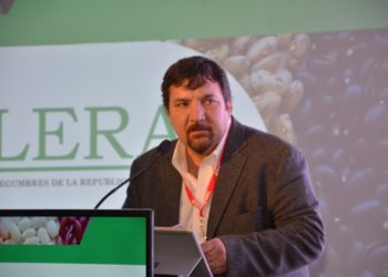 Los productores de legumbres sueñan con vender a China: “Si la dejamos pasar, la vamos a perder”, advierten