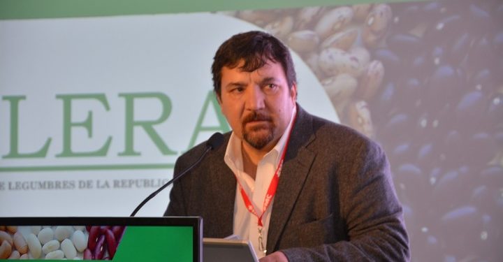 Los productores de legumbres sueñan con vender a China: “Si la dejamos pasar, la vamos a perder”, advierten