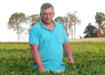 José Kirilinko produce té en Misiones y es maestro rural: “Quiero que los chicos se queden acá, produciendo”