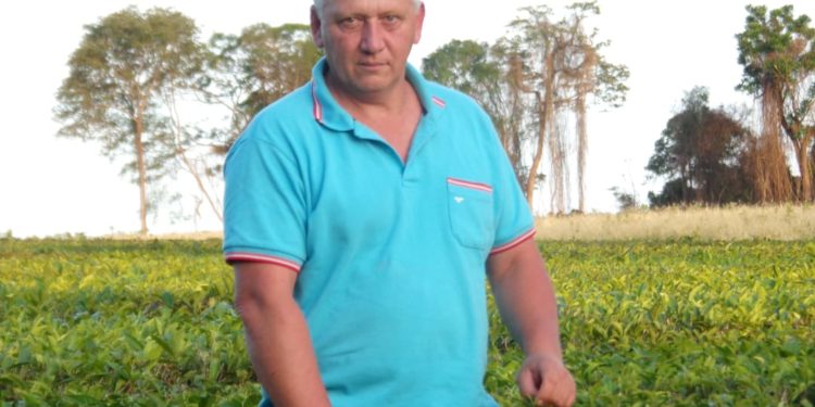 José Kirilinko produce té en Misiones y es maestro rural: “Quiero que los chicos se queden acá, produciendo”