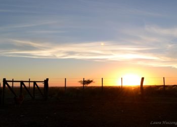 ¿Y qué sucedería en el campo de Pirulo si a Alberto se le ocurre poner retenciones tan altas como en la época de Cristina?
