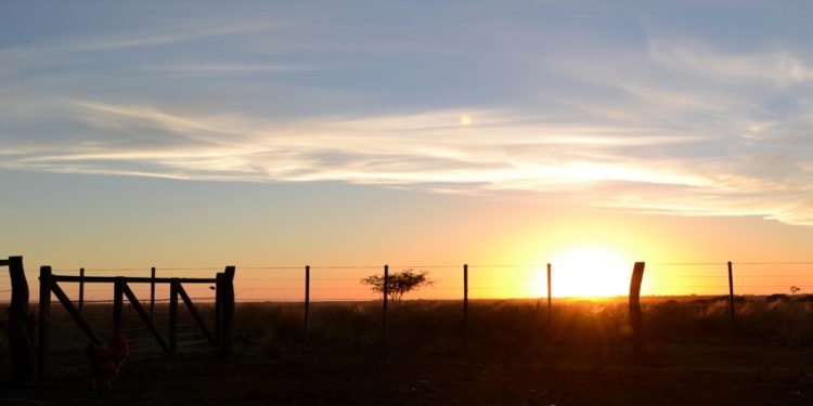 ¿Y qué sucedería en el campo de Pirulo si a Alberto se le ocurre poner retenciones tan altas como en la época de Cristina?