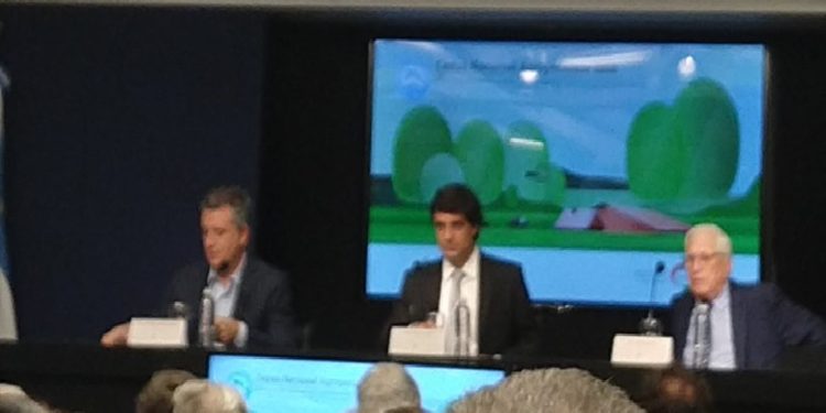 El Censo Agropecuario confirmó que desde 2002 se extinguió un productor agropecuario cada dos horas