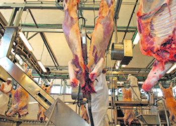 El valor del anticipo para faenar bovinos es motivo de otra pelea entre los exportadores y quienes atienden el consumo