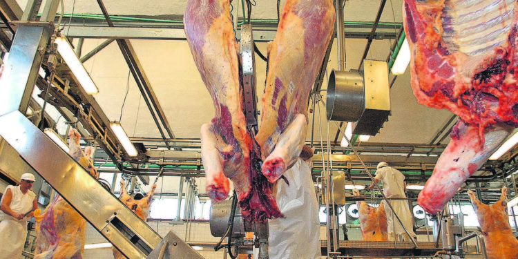 El valor del anticipo para faenar bovinos es motivo de otra pelea entre los exportadores y quienes atienden el consumo