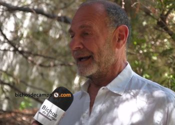 Uruguay comenzó a importar grandes cantidades de carne vacuna: Para Miguel Gorelik, es posible que la Argentina siga el mismo camino