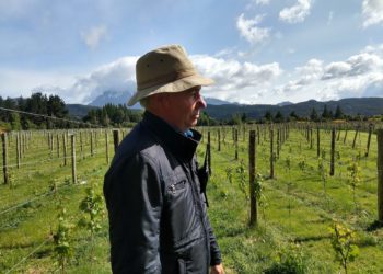 Marcelo y Patricia construyeron su lugar soñado cerca de Trevelin y allí implantaron los retoños de Cabernet Franc más australes del mundo
