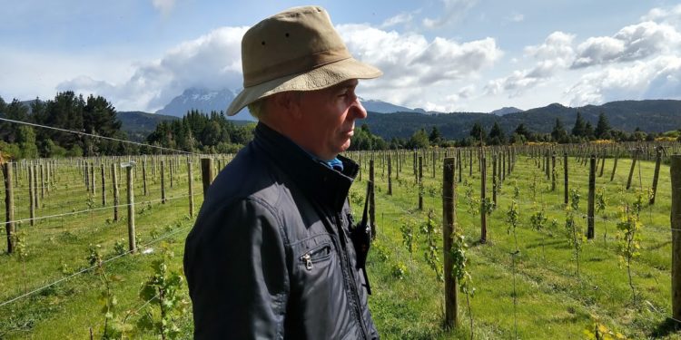 Marcelo y Patricia construyeron su lugar soñado cerca de Trevelin y allí implantaron los retoños de Cabernet Franc más australes del mundo