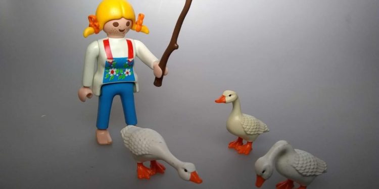 CNA 2018: Ya hay 20% de los campos que son manejados por mujeres, pero hay muy poca presencia de jóvenes