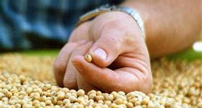 Antes de irse, sin Ley de Semillas, Agricultura busca modificar la manera de controlar la bolsa blanca y el pago de regalías