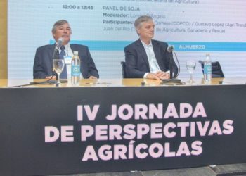 A pesar de la incertidumbre y una incipiente sequía, Alberto asumirá con una cosecha que promete ser abundante