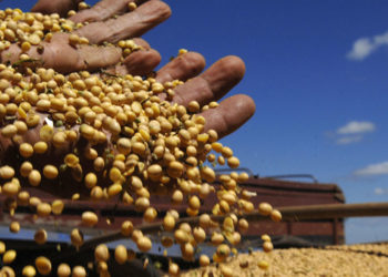 Un libro afirma que, a pesar de producir más, el agro pampeano “posee una dinámica excluyente y concentradora”