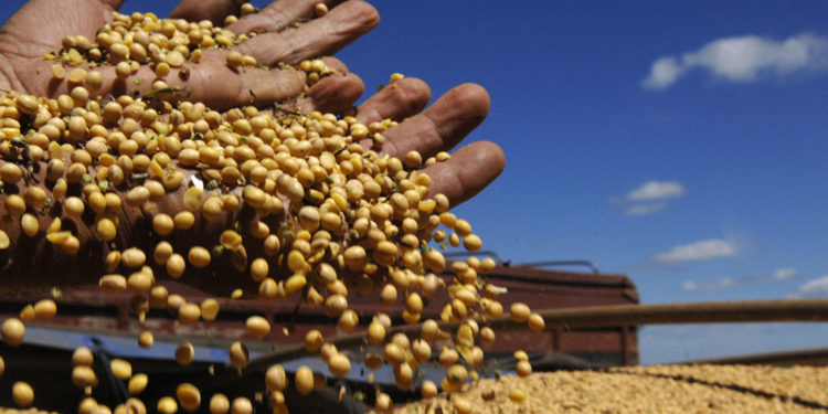 Un libro afirma que, a pesar de producir más, el agro pampeano “posee una dinámica excluyente y concentradora”