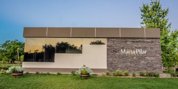 Sabores y saberes: Santiago del Estero, madre de ciudades y cuna de las vides, ahora tiene su primera bodega