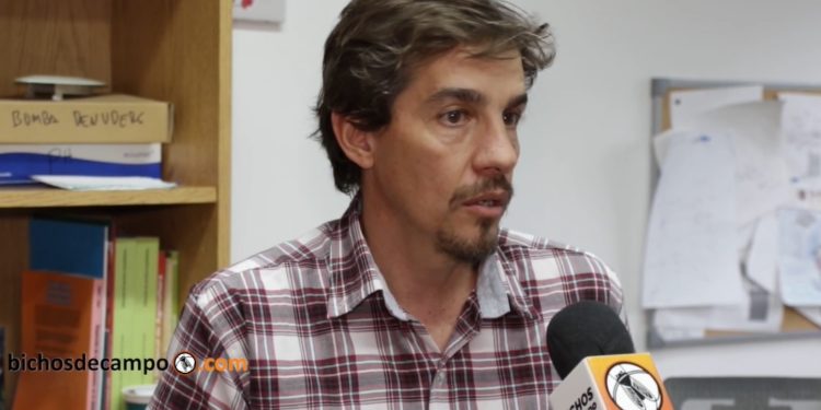 “La agricultura argentina está bastante empastillada”, advierte Gervasio Piñeiro, investigador de Fauba y Conicet