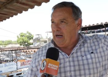 Gervasio Sáenz Valiente cuenta qué es el Gordo de Navidad, que se celebró en el Mercado de Liniers por última vez en la historia