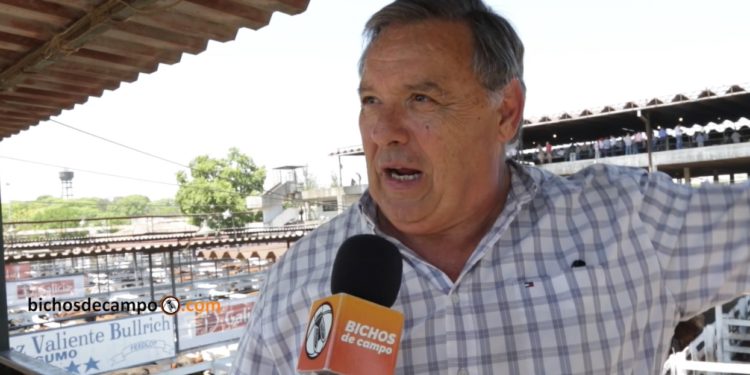 Gervasio Sáenz Valiente cuenta qué es el Gordo de Navidad, que se celebró en el Mercado de Liniers por última vez en la historia