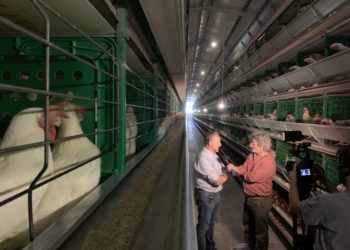 Un día Fernando Bertachini cobró su jornal con un maple de huevos: Hoy tiene 120 mil ponedoras en una granja último modelo