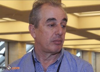 Los productores de olivos advierten que se abandonan cultivos por las altas tarifas eléctricas: Piden un plan para promover energías alternativas