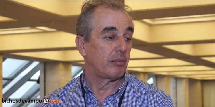 Los productores de olivos advierten que se abandonan cultivos por las altas tarifas eléctricas: Piden un plan para promover energías alternativas