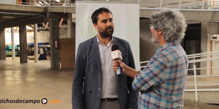 Chubut ejecutó el primer plan de ganadería regenerativa del país: Leandro Cavaco, su ministro de Producción, afirmó que seguirá en 2020