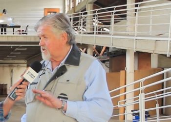 Nicolás Ayling, un veterano productor de Chubut, nos dio una clase sobre ganadería ovina en la Patagonia