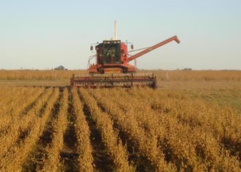 Desde la universidad pública advierten sobre la concentración de la producción agropecuaria: Fueron 156.000