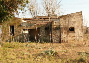 Desde la universidad pública advierten sobre la concentración de la producción agropecuaria: Fueron 156.000