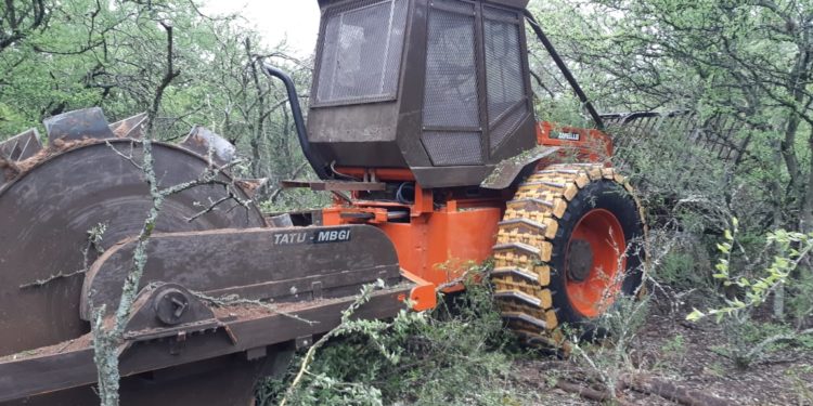El INTA desarrolló un rolo autopropulsado para fomentar sistemas silvopastoriles sustentables en los bosques del Gran Chaco