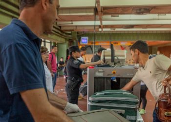 Perniles rusos en Caracas: El Senasa reforzó los controles para evitar un contagio de la Peste Porcina Africana