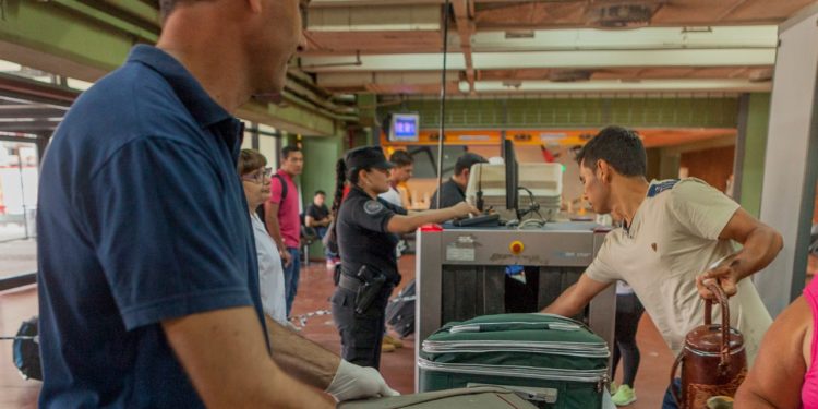 Perniles rusos en Caracas: El Senasa reforzó los controles para evitar un contagio de la Peste Porcina Africana