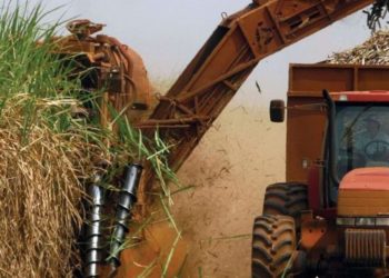 Madrugada de sábado en Tucumán: No fue una zamba sino que terminó la zafra azucarera 2019