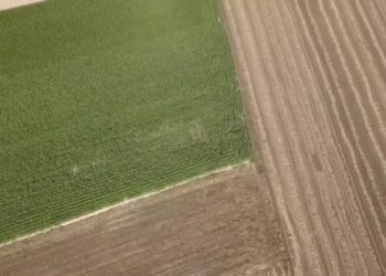 Son 750 millones de dólares los que el gobierno recaudará por la suba de retenciones