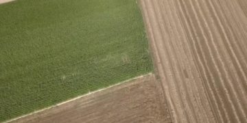 Son 750 millones de dólares los que el gobierno recaudará por la suba de retenciones