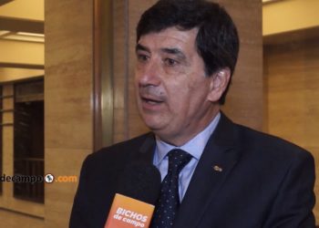 Gerardo Díaz Beltrán, de CAME: "Si no reconocemos la existencia de producciones regionales, no vamos a poder salir de una economía concentrada"