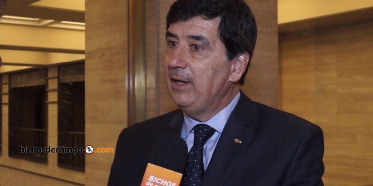 Gerardo Díaz Beltrán, de CAME: "Si no reconocemos la existencia de producciones regionales, no vamos a poder salir de una economía concentrada"