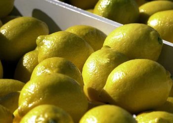 El limón argentino podría ingresar al mercado más buscado: China