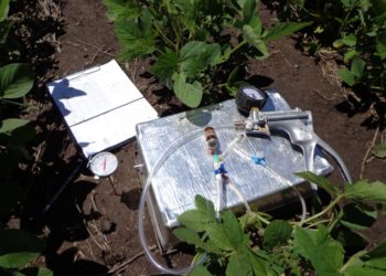 Las culpas de la soja: El cultivo puede emitir cuatro veces más óxido nitroso que un pastizal natural