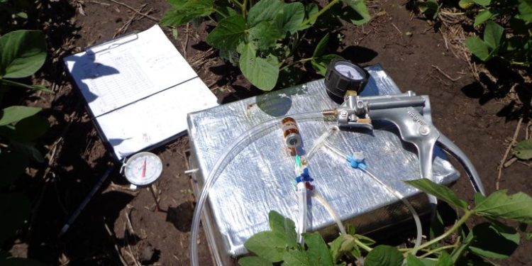 Las culpas de la soja: El cultivo puede emitir cuatro veces más óxido nitroso que un pastizal natural