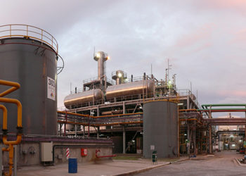 Vicentín tenía una carta bajo la manga: Vendió parte de Renova y hay otras negociaciones  para devolver la ilusión a sus acreedores