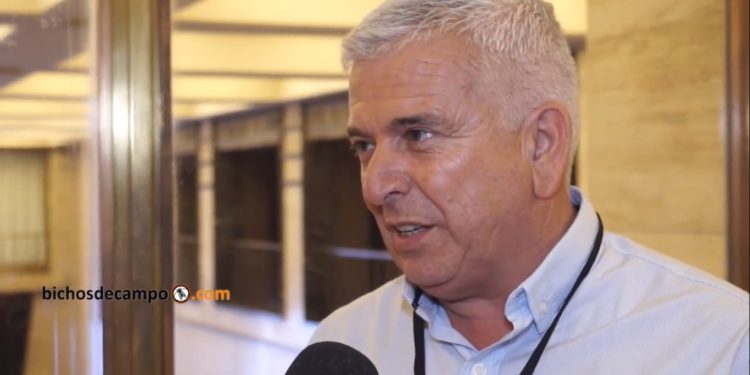 Juan Carlos Polini: "Estamos utilizando una semilla de algodón con genética de 20 años de antigüedad"