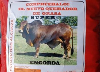 Rusia restringió la compra de carne argentina por detectar ractopamina y liberó a las plantas brasileras