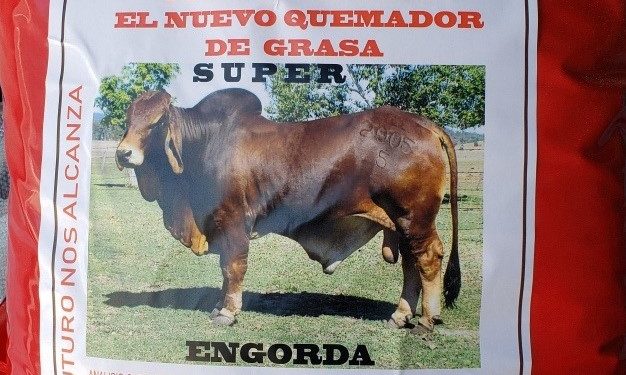 Rusia restringió la compra de carne argentina por detectar ractopamina y liberó a las plantas brasileras