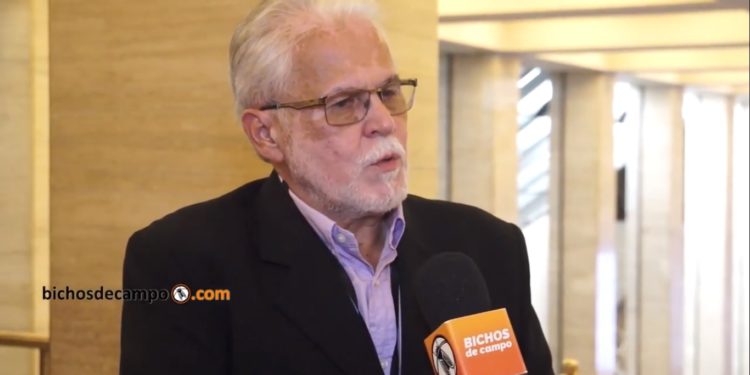 Ricardo Saraceni explica por qué es tan difícil reemplazar el tabaco en Misiones: "no existe una actividad que pueda tomar tanta gente"